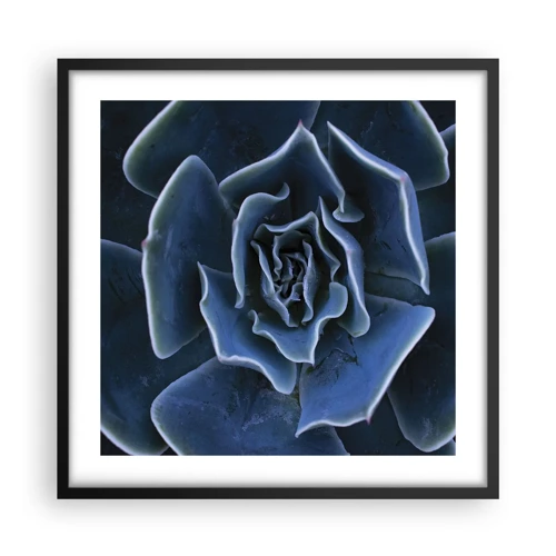 Plakát v černém rámu - Pouštní květ - 50x50 cm