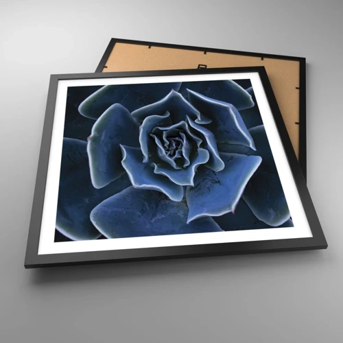 Plakát v černém rámu - Pouštní květ - 50x50 cm
