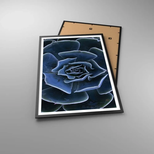 Plakát v černém rámu - Pouštní květ - 61x91 cm
