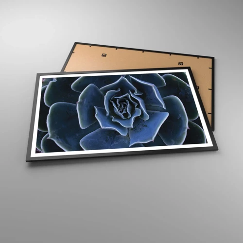 Plakát v černém rámu - Pouštní květ - 91x61 cm