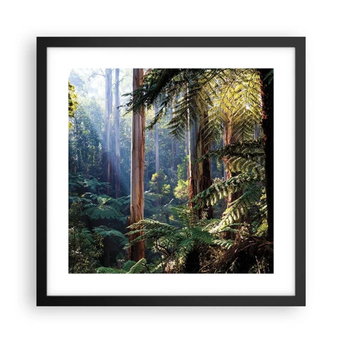 Plakát v černém rámu - Povídka lesa - 40x40 cm