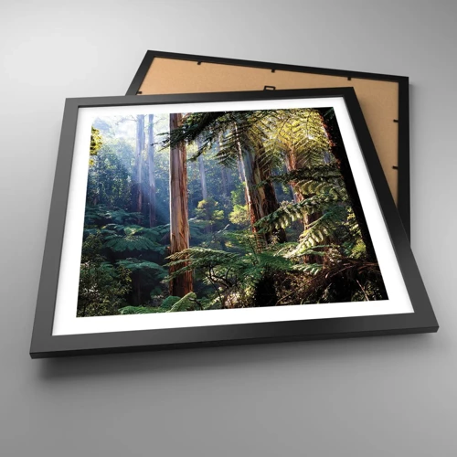 Plakát v černém rámu - Povídka lesa - 40x40 cm