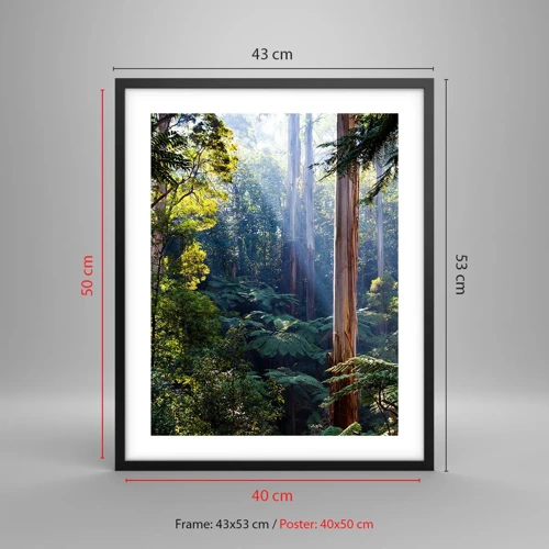 Plakát v černém rámu - Povídka lesa - 40x50 cm