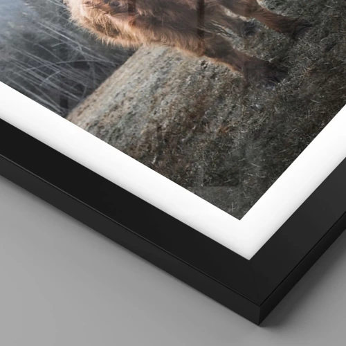 Plakát v černém rámu - Pozdravy z horské louky - 50x70 cm