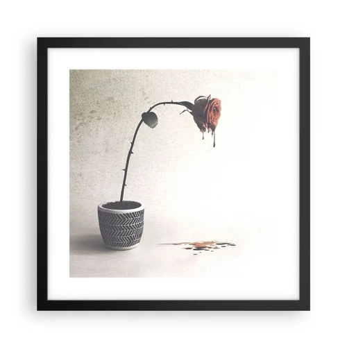 Plakát v černém rámu - Rosa dolorosa - 40x40 cm