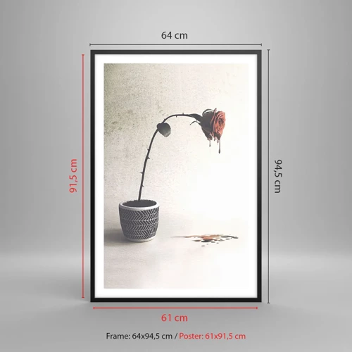 Plakát v černém rámu - Rosa dolorosa - 61x91 cm