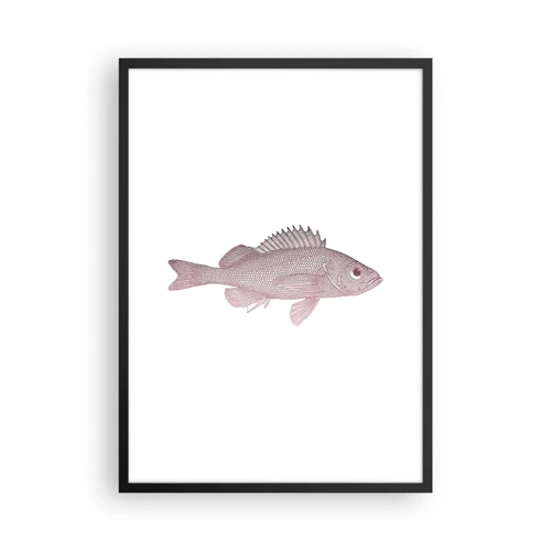 Plakát v černém rámu - Ryba s velkýma očima - 50x70 cm