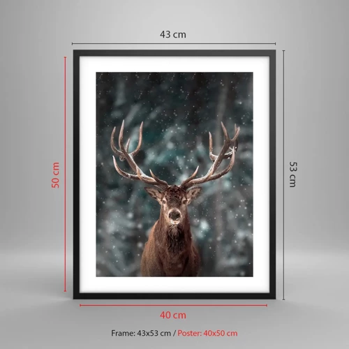 Plakát v černém rámu - Skutečný král lesa - 40x50 cm
