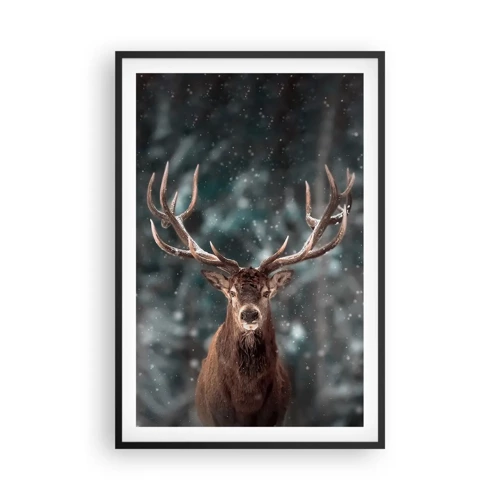 Plakát v černém rámu - Skutečný král lesa - 61x91 cm