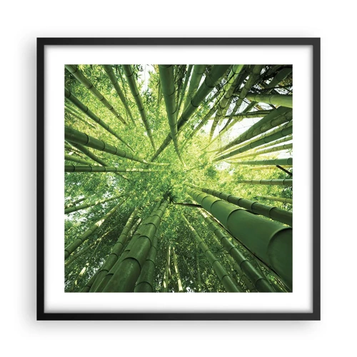 Plakát v černém rámu - V bambusovém háji - 50x50 cm
