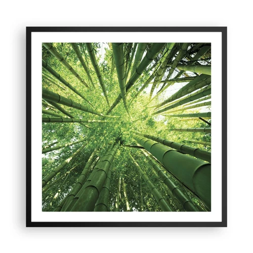 Plakát v černém rámu - V bambusovém háji - 60x60 cm