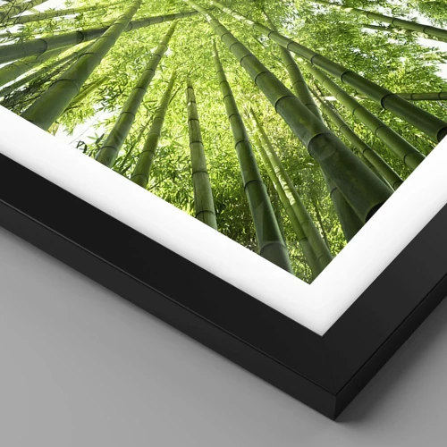 Plakát v černém rámu - V bambusovém háji - 70x50 cm