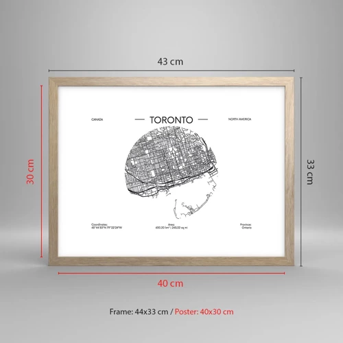 Plakát v rámu světlý dub - Anatomie Toronta - 40x30 cm