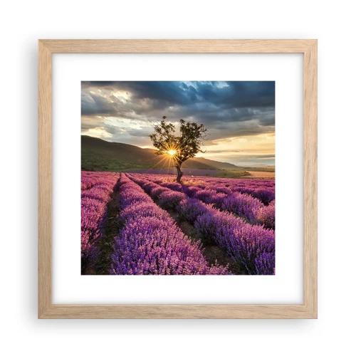 Plakát v rámu světlý dub - Aroma v barvě lila - 30x30 cm