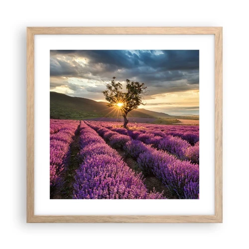 Plakát v rámu světlý dub - Aroma v barvě lila - 40x40 cm