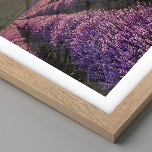 Plakát v rámu světlý dub - Aroma v barvě lila - 40x50 cm