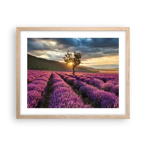 Plakát v rámu světlý dub - Aroma v barvě lila - 50x40 cm