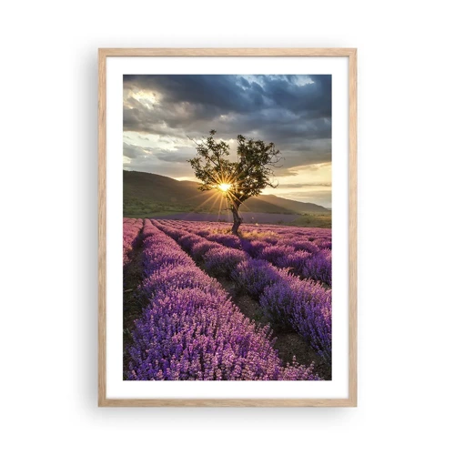Plakát v rámu světlý dub - Aroma v barvě lila - 50x70 cm