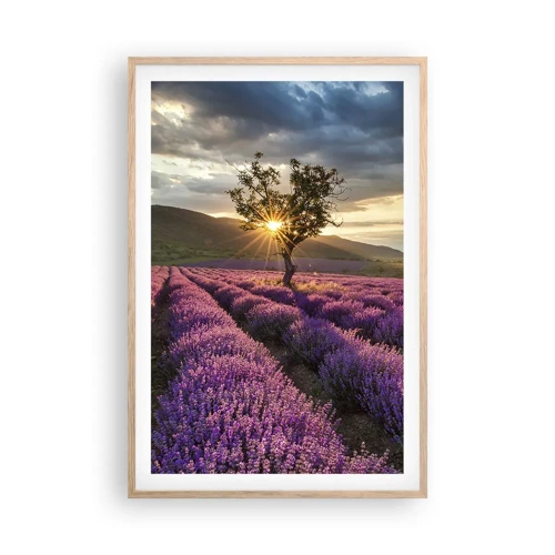 Plakát v rámu světlý dub - Aroma v barvě lila - 61x91 cm