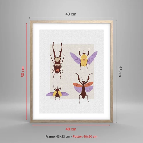 Plakát v rámu světlý dub - Hmyzí svět - 40x50 cm