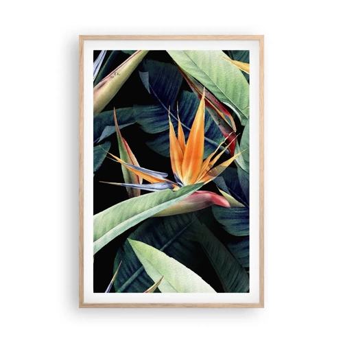 Plakát v rámu světlý dub - Plamenné květy tropů - 61x91 cm