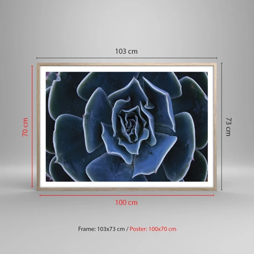 Plakát v rámu světlý dub - Pouštní květ - 100x70 cm