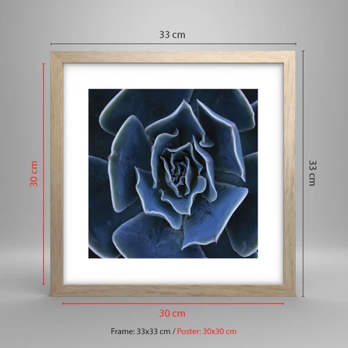 Plakát v rámu světlý dub - Pouštní květ - 30x30 cm