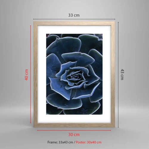Plakát v rámu světlý dub - Pouštní květ - 30x40 cm