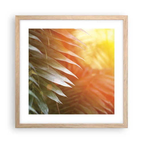 Plakát v rámu světlý dub - Ráno v džungli - 40x40 cm