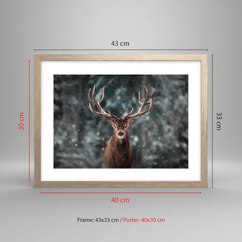 Plakát v rámu světlý dub - Skutečný král lesa - 40x30 cm