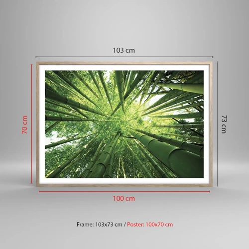 Plakát v rámu světlý dub - V bambusovém háji - 100x70 cm