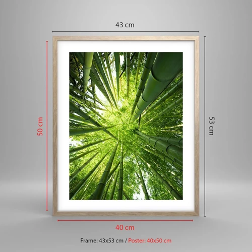 Plakát v rámu světlý dub - V bambusovém háji - 40x50 cm