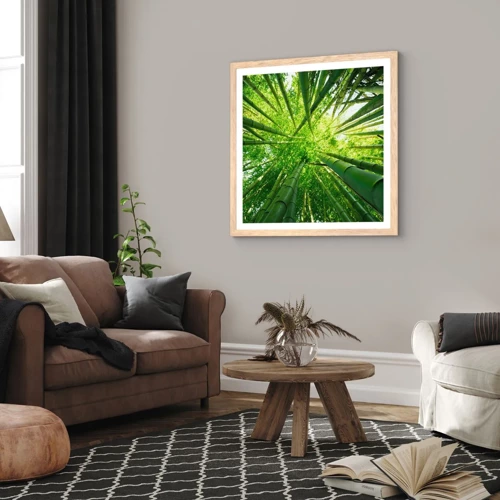Plakát v rámu světlý dub - V bambusovém háji - 50x50 cm
