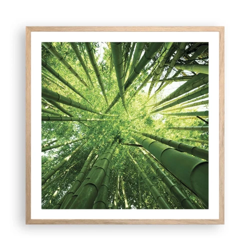 Plakát v rámu světlý dub - V bambusovém háji - 60x60 cm