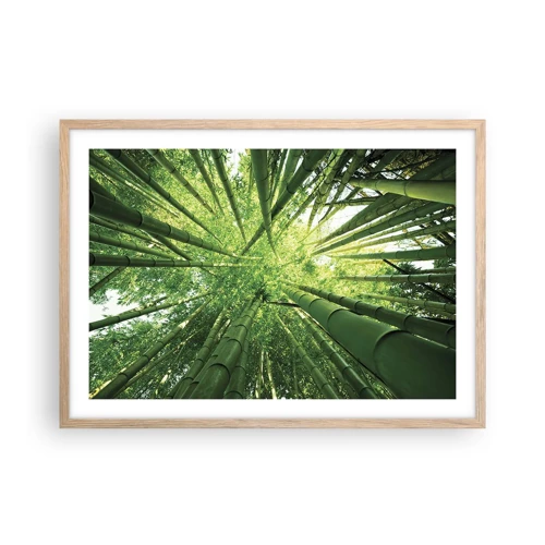 Plakát v rámu světlý dub - V bambusovém háji - 70x50 cm