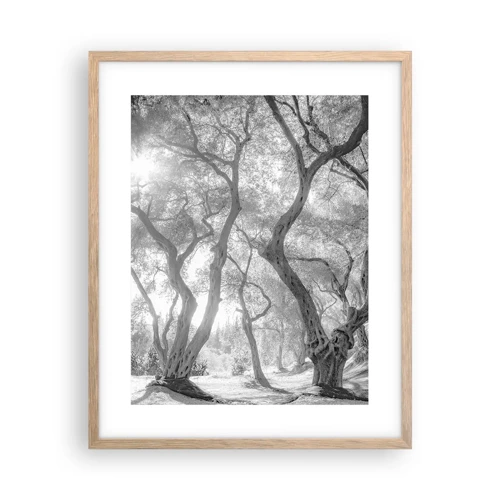 Plakát v rámu světlý dub - V olivovém háji - 40x50 cm