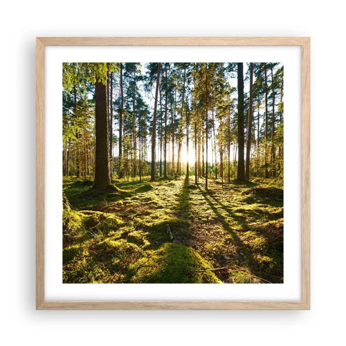 Plakát v rámu světlý dub - …Za sedmero lesy - 50x50 cm