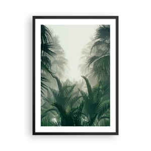 Plakát v černém rámu - Tropická záhada - 50x70 cm