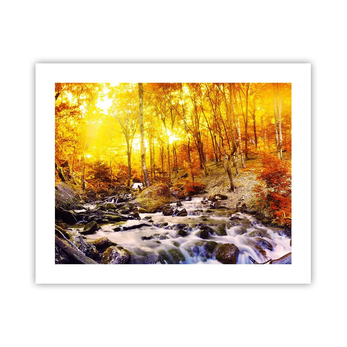 Plakát - Kameny zasazené do zlata a platiny - 50x40 cm