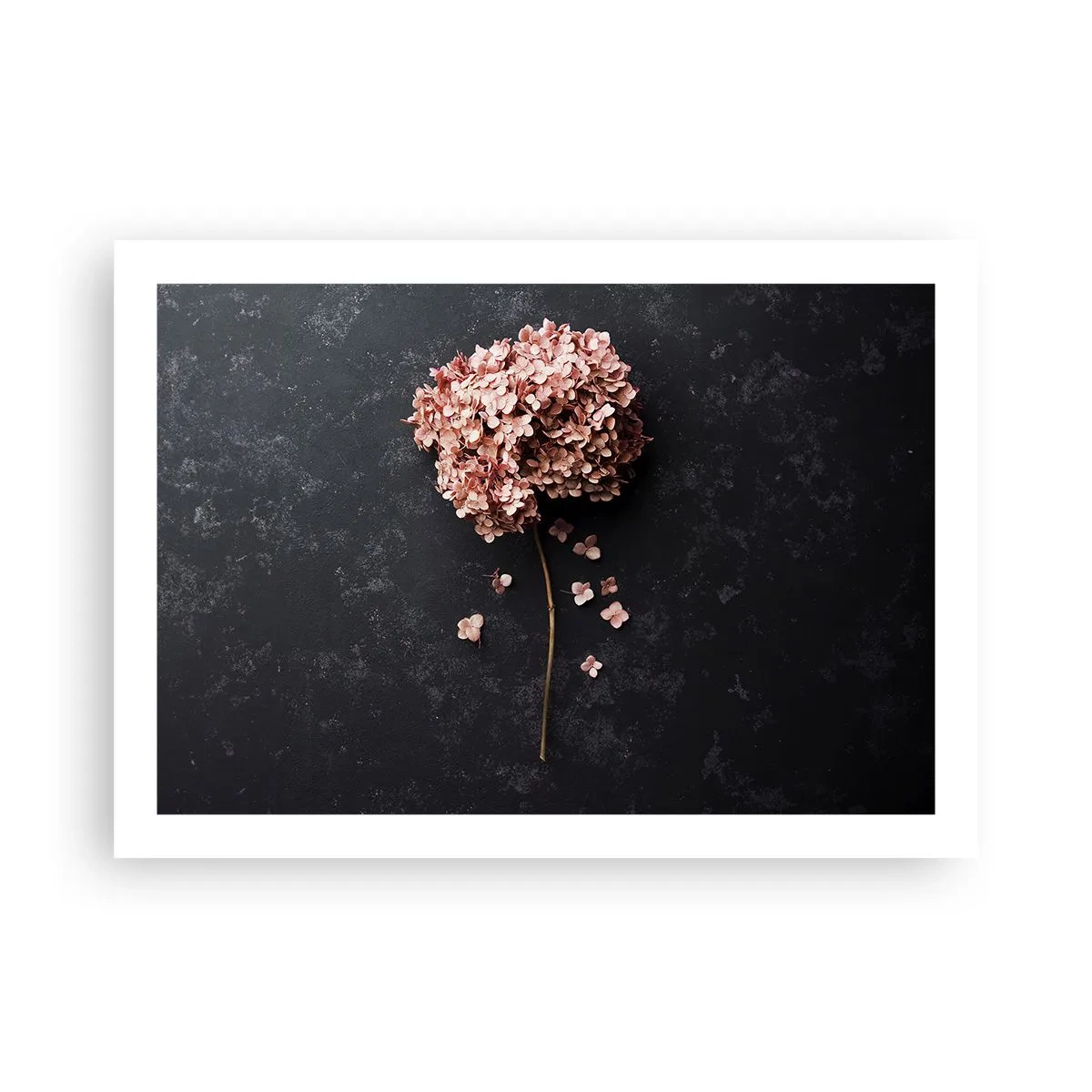 Plakát - Skutečně romantické znamení - 70x50 cm