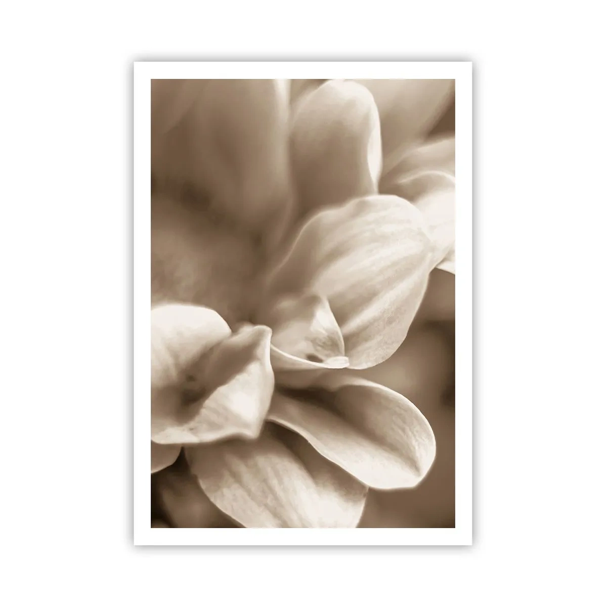 Plakát - Něžné jako úsměv - 70x100 cm