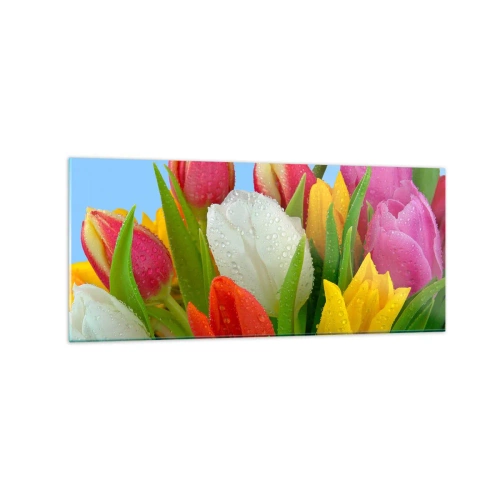 Obraz na skle - Květinová duha v kapkách rosy - 120x50 cm