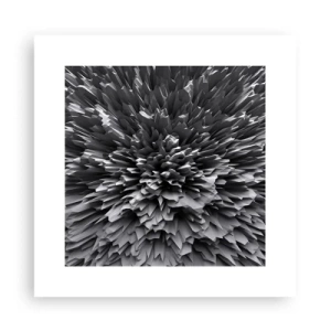 Plakát - Ostřejší to už nebude - 30x30 cm