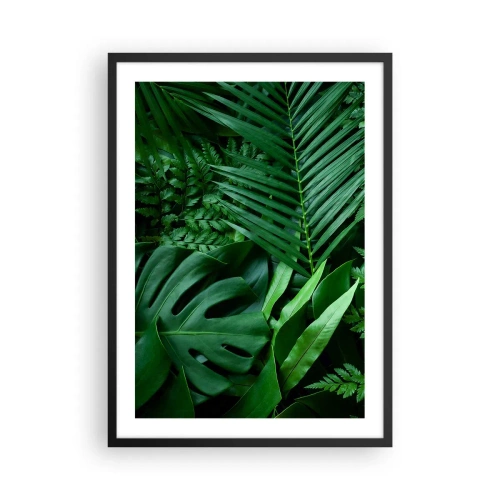 Plakát v černém rámu - Zelené kapradiny a palmové listy vytvářejí tropický vzor - 50x70cm - Objaté v zeleni - Moderní nástěnná dekorace do obývacího pokoje a ložnice ARTTOR