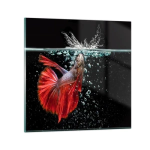 Obraz na skle - Máš tři přání - 30x30 cm