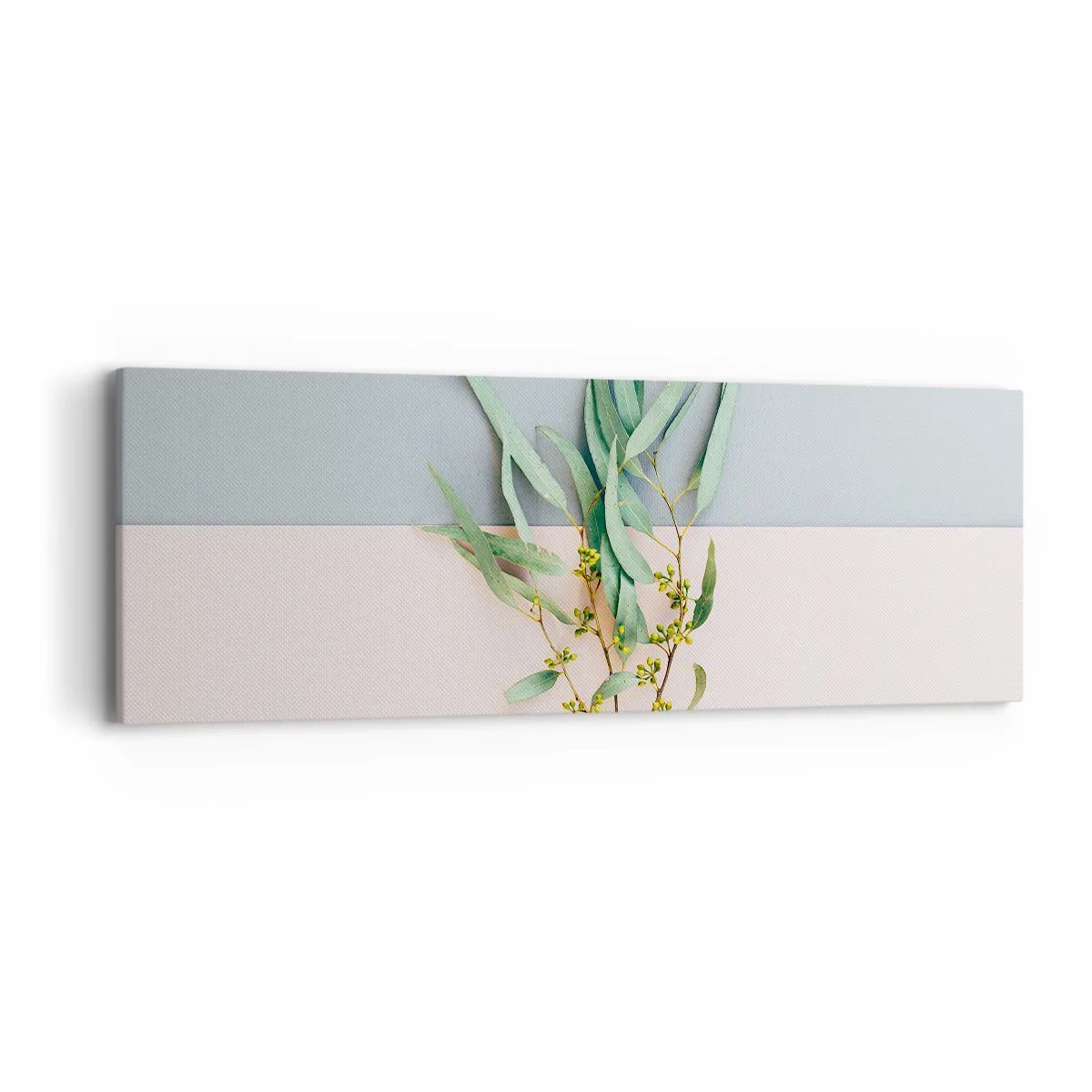 Obraz na plátně - Pastelová jemnost - 90x30 cm