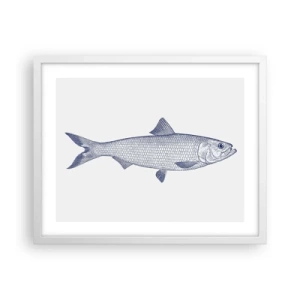 Plakát v bílém rámu - Pozdravy ze severních moří - 50x40 cm