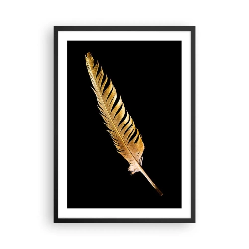 Plakát v černém rámu - Zlaté pírko na černém pozadí - 50x70cm - Krásne peříčko… - Moderní nástěnná dekorace do obývacího pokoje a ložnice ARTTOR