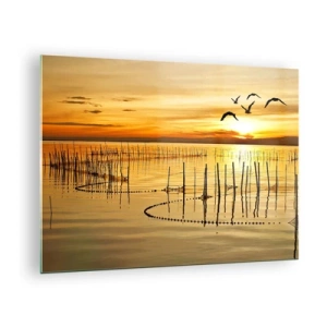 Obraz na skle - Západ slunce nad jezerem s ptáky a rybářskými sítěmi - 70x50cm - Na rybolovu - Moderní nástěnná dekorace do obývacího pokoje a ložnice ARTTOR