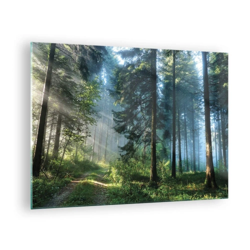 Obraz na skle - Lesní cesta v ranní mlze mezi vysokými stromy - 70x50cm - Zářící za úsvitu - Moderní nástěnná dekorace do obývacího pokoje a ložnice ARTTOR
